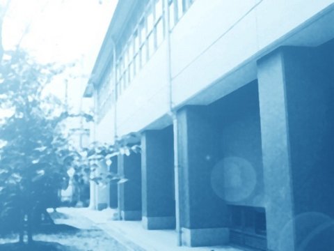 Back of the School